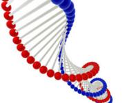 核酸スーパーヘルス1500G DNA RNA サケ白子(送料・代引き手数料無料)